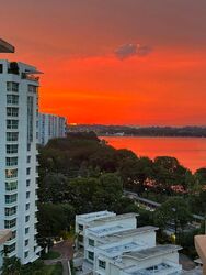 The Clearwater (D16), Condominium #486427791